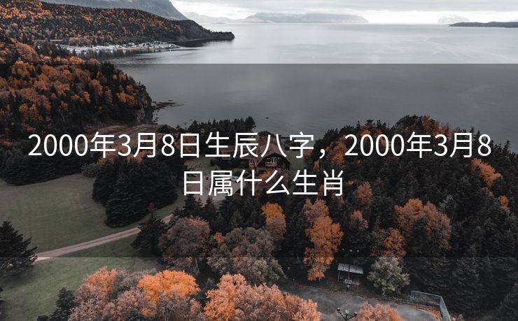 2000年3月8日生辰八字，2000年3月8日属什么生肖