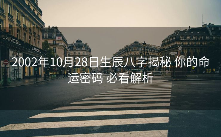 2002年10月28日生辰八字揭秘 你的命运密码 必看解析