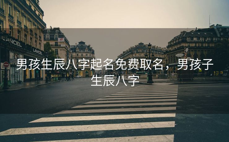 男孩生辰八字起名免费取名，男孩子生辰八字