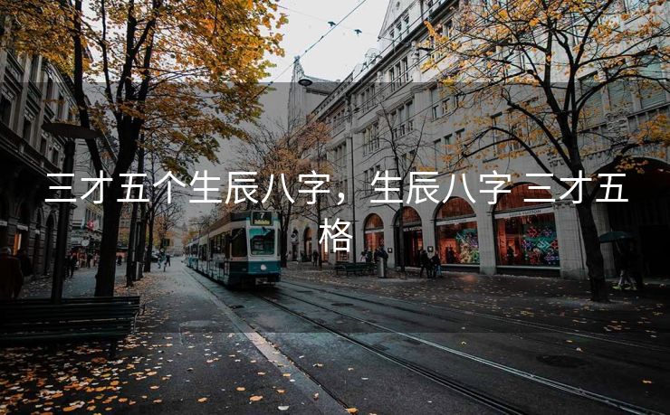三才五个生辰八字，生辰八字 三才五格